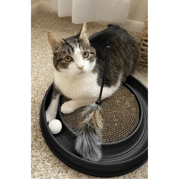 Turbo Scratcher Interactive Cat Toy